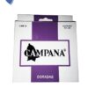 ENCORDADO CRIOLLA CAMPANA DORADA