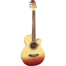 GUITARRA ACUSTICA GYPSY ROSE CMB