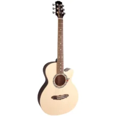 GUITARRA ACUSTICA GYPSY ROSE NA