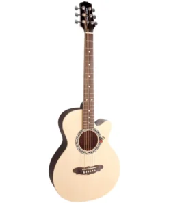 GUITARRA ACUSTICA GYPSY ROSE NA