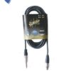 CABLE SPECTRUN CH / P 6 M TS CANON H A PLUG 6,35