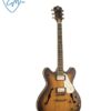 GUITARRA ELÉCTRICA AXL AE820MS BAD SEMI HOLLOW