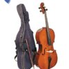 CELLO JOSE ASTURIAS 3/4 C/FUNDA Y ARCO