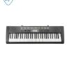 TECLADO CASIO CTK1250 100 TONOS 100 RITMOS 5 OCT