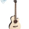 GUITARRA ACÚSTICA GYPSY ROSE NA