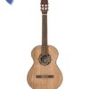 GUITARRA CRIOLLA FONSECA 25