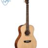 GUITARRA ACÚSTICA WASHBURN WD10SNS
