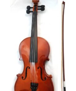 VIOLÍN SPECTRUN V-1 3/4