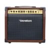 AMPLIFICADOR WENSTONE A/GE25 PARA GUITARRA