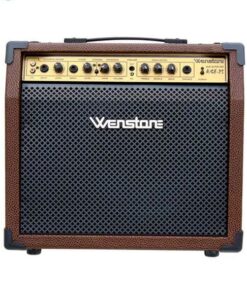 AMPLIFICADOR WENSTONE A/GE25 PARA GUITARRA