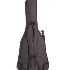 Alternative view of FUNDA ALONSO ACUSTICA 41" 15MM