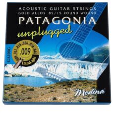 ENC ACUSTICA PATAGONIA GA100G 0.9 GOLD-ALLOY