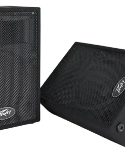 Alternative view of BAFLE PEAVEY PVI10 10" 2 VIAS