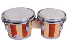 BONGO PARQUER PONCHO